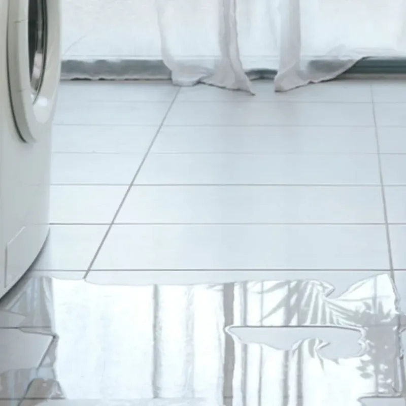 Appliance Leak Cleanup in Home, WA