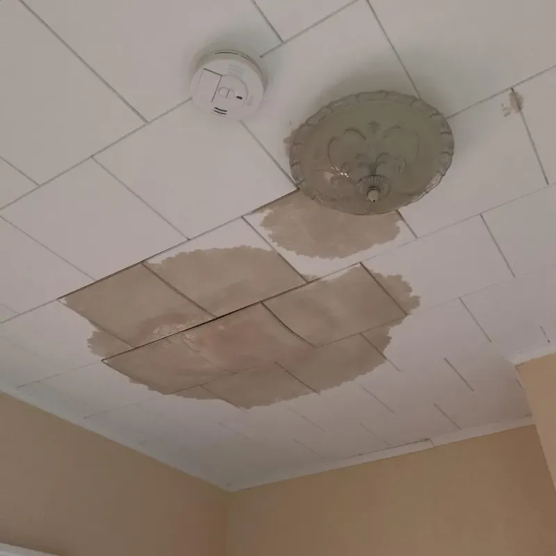 Ceiling Water Damage Repair in Home, WA