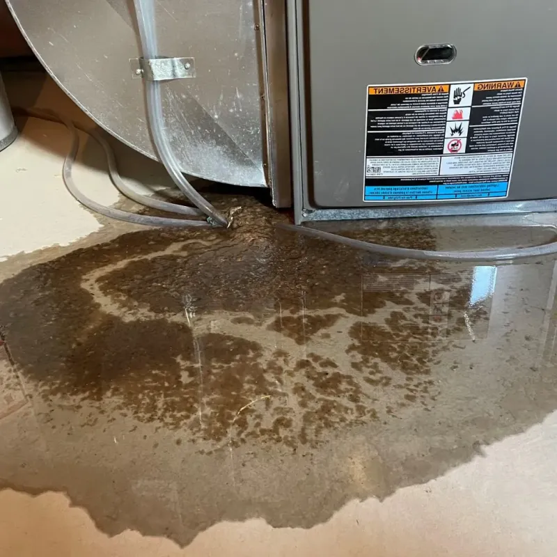 Pipe Burst and Leak Restoration in Home, WA