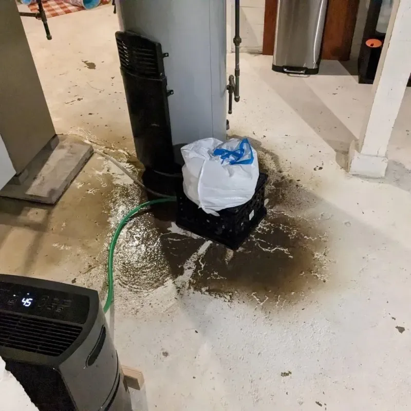 Sewage Backup Cleanup Service in Home, WA